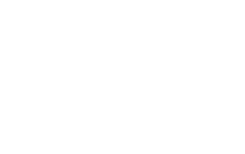 Nan Chinese Restaurant